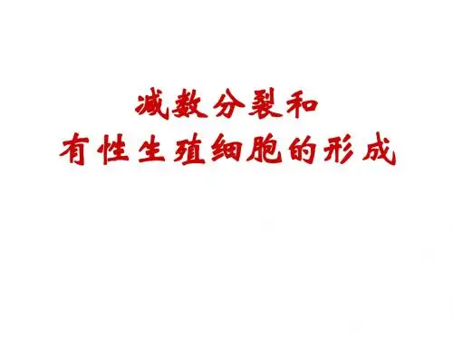 减数分裂和有性生殖细胞的形成ppt5 优秀课件
