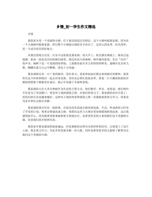 乡情_初一学生作文精选