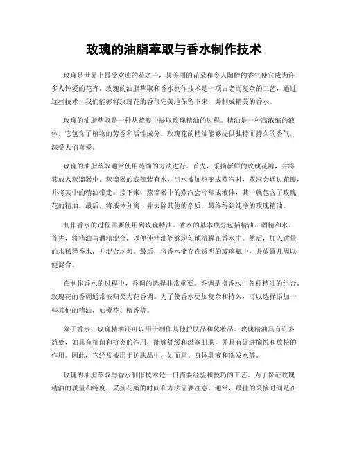 玫瑰的油脂萃取与香水制作技术