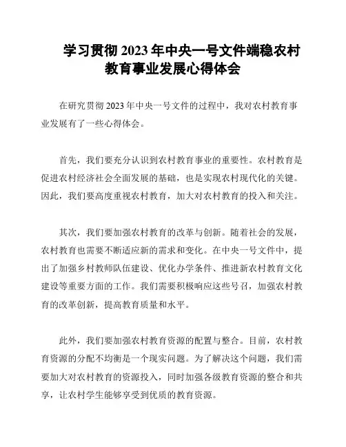 学习贯彻2023年中央一号文件端稳农村教育事业发展心得体会