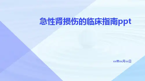 急性肾损伤的临床指南ppt