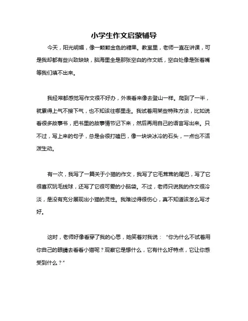 小学生作文启蒙辅导