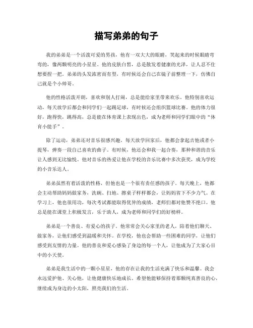 描写弟弟的句子