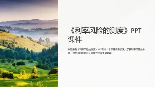 《利率风险的测度》课件