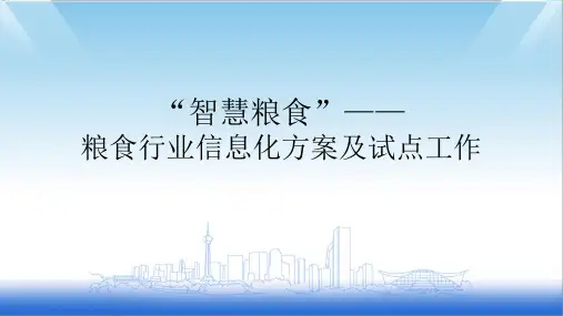 2023年粮食行业信息化方案及试点工作