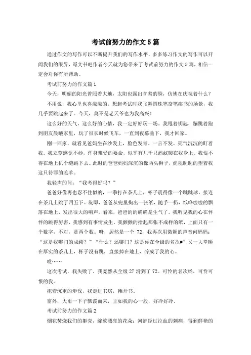 考试前努力的作文5篇