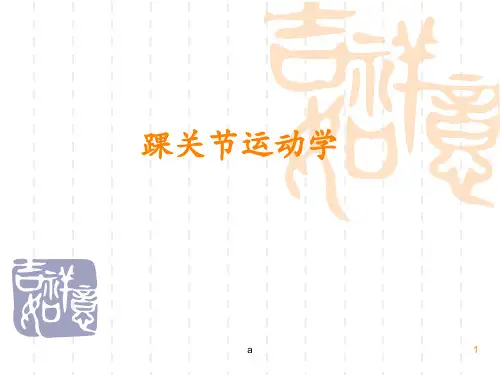 踝关节运动学PPT课件