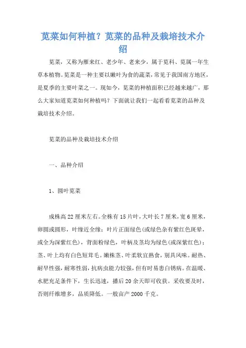 苋菜如何种植？苋菜的品种及栽培技术介绍