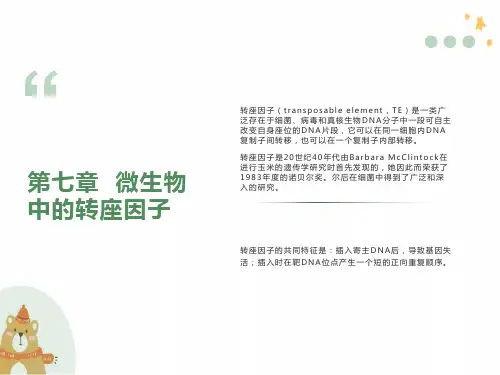 微生物中的转座因子
