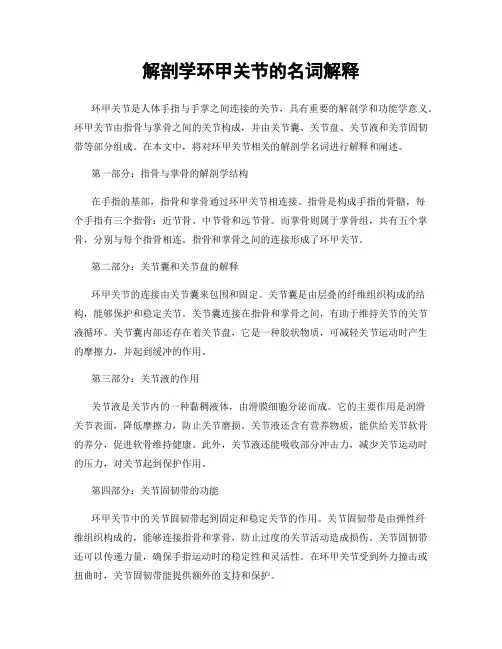 解剖学环甲关节的名词解释