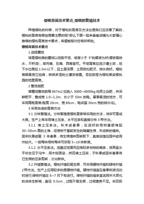 樱桃育苗技术要点_樱桃的繁殖技术