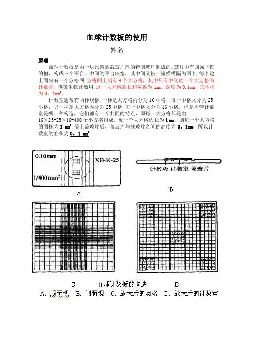 血球计数板的使用