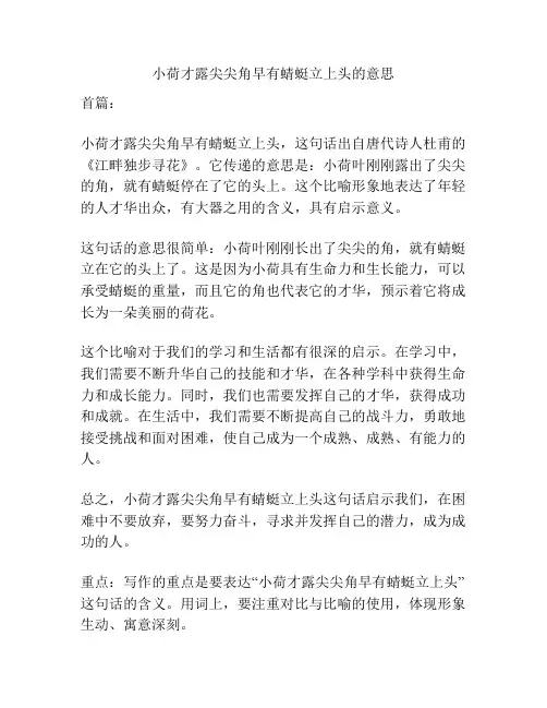 小荷才露尖尖角早有蜻蜓立上头的意思