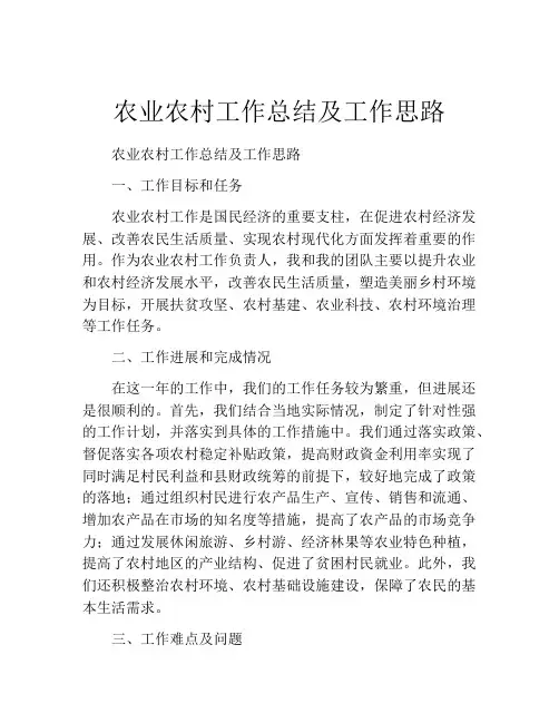 农业农村工作总结及工作思路