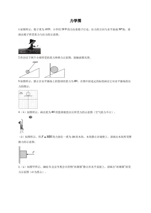 2023届中考物理作图专项练 力学图