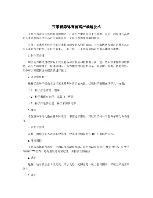 玉米营养钵育苗高产栽培技术