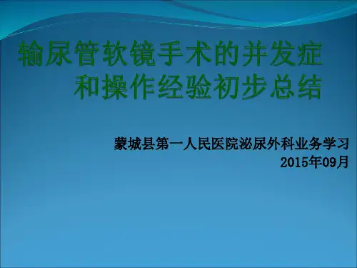 09月业务学习输尿管软镜手术的并发症和操作