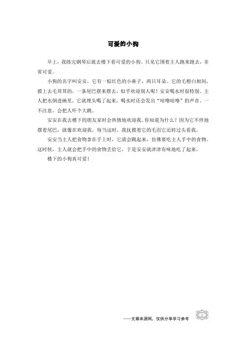 可爱的小狗
