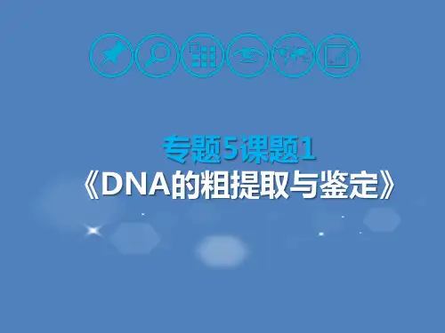高三生物二轮复习专题五DNA的粗提取与鉴定