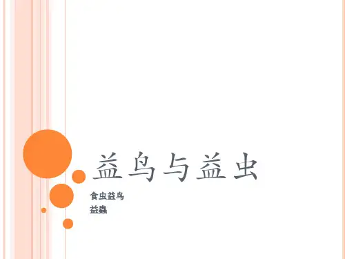 益鸟与益虫