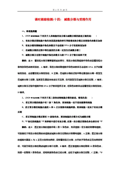 课时跟踪检测(十四) 减数分裂与受精作用