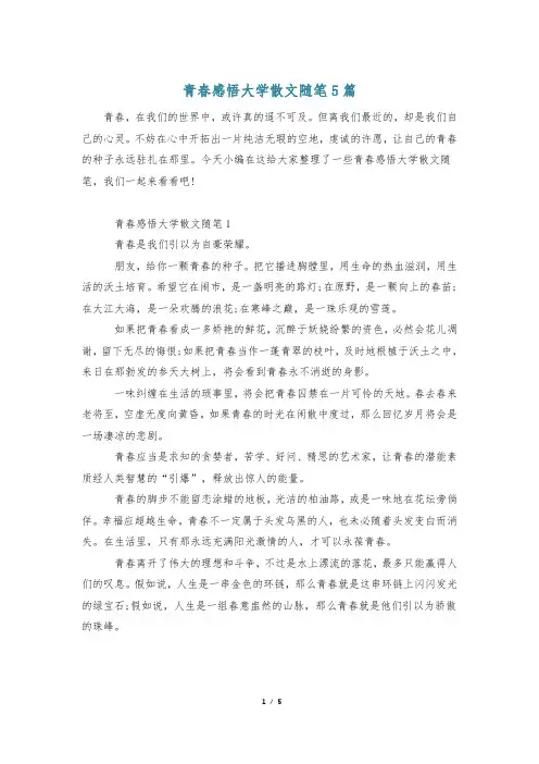 青春感悟大学散文随笔5篇