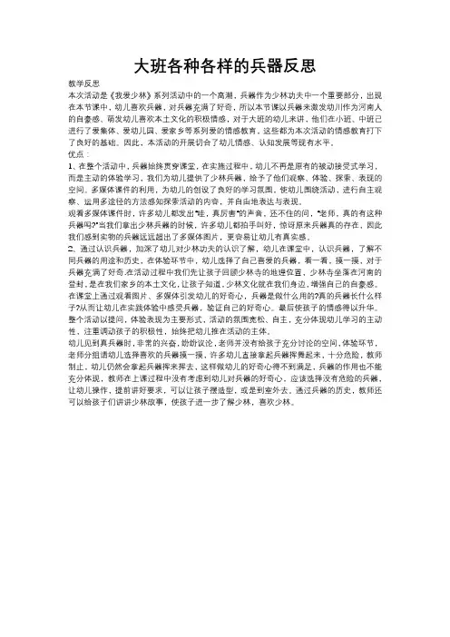 大班各种各样的兵器反思