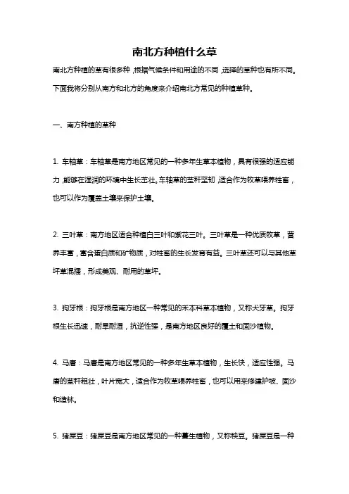 南北方种植什么草