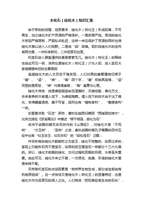 木化石（硅化木）知识汇集