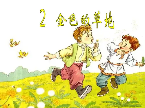 《金色的草地》PPT课件2