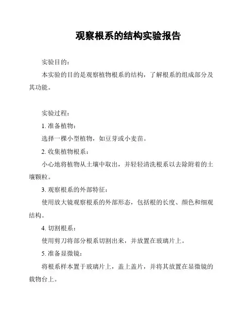 观察根系的结构实验报告