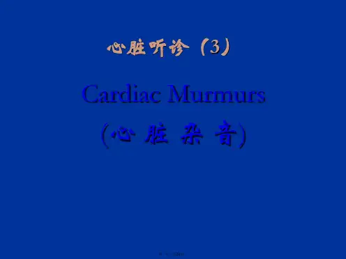 心脏听诊-杂音