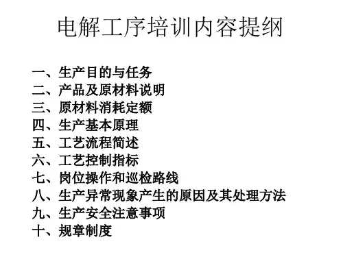氯碱新员工培训资料之电解工序