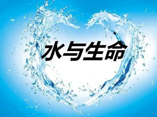 水与生命PPT课件冀教版三年级科学上册课件