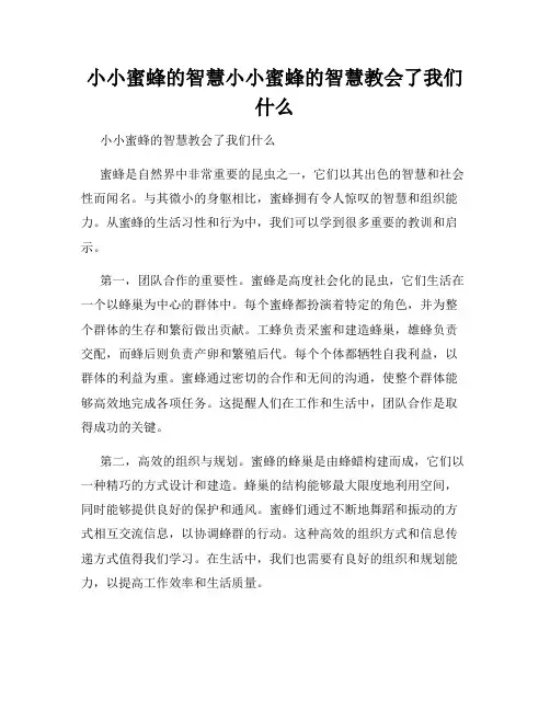 小小蜜蜂的智慧小小蜜蜂的智慧教会了我们什么
