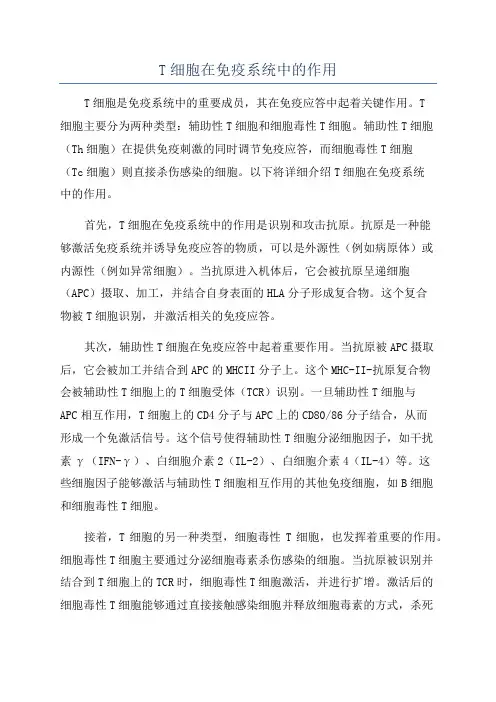 T细胞在免疫系统中的作用