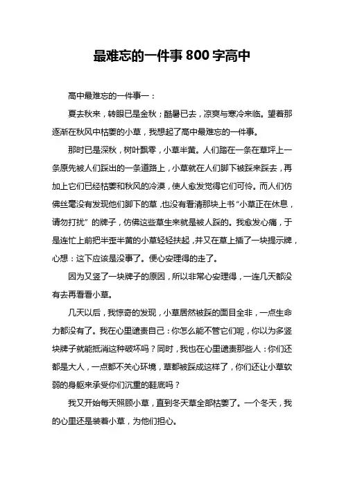 最难忘的一件事800字高中