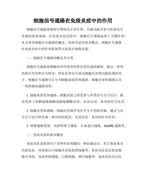 细胞信号通路在免疫炎症中的作用