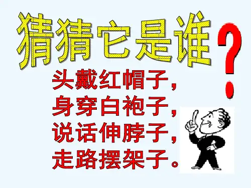语文人教版四年级上册《白鹅》教学PPT