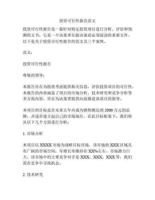投资可行性报告范文