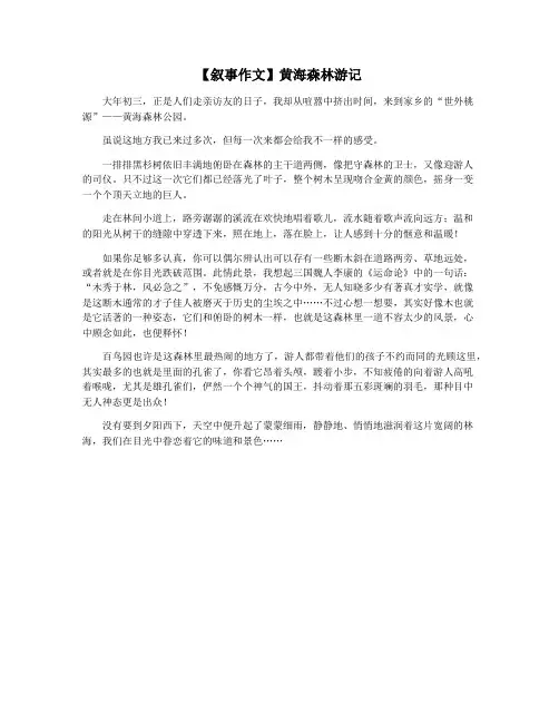 【叙事作文】黄海森林游记