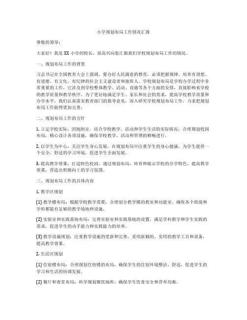 小学规划布局工作情况汇报