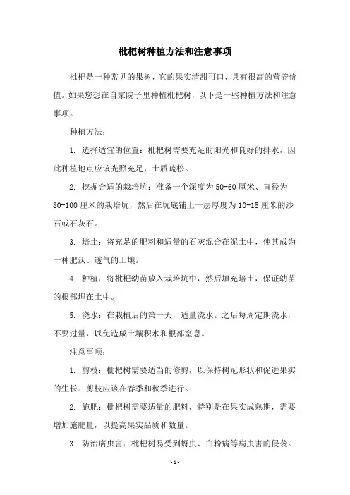 枇杷树种植方法和注意事项