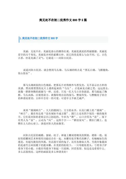 美无处不在初二优秀作文800字5篇