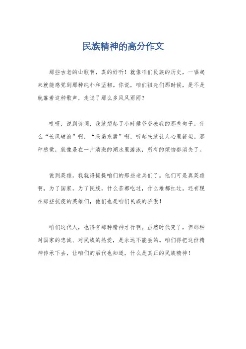民族精神的高分作文