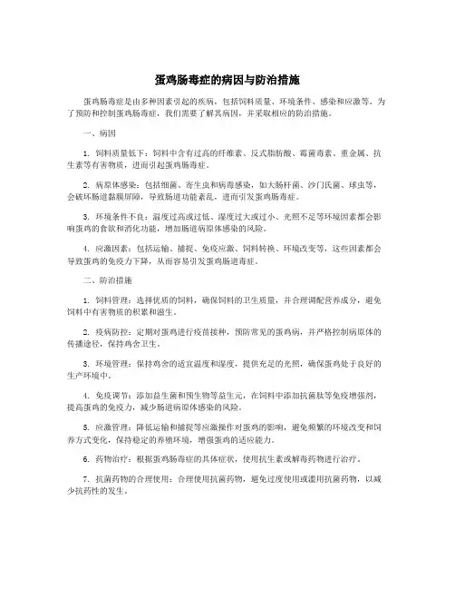 蛋鸡肠毒症的病因与防治措施