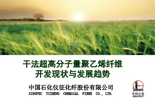4-干法超高分子量聚乙烯纤维开发现状与发展趋势-仪征化纤杨勇