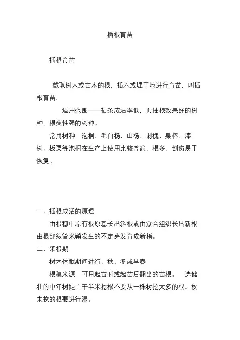 插根育苗
