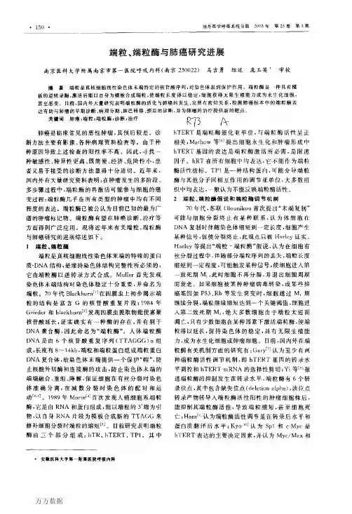 端粒、端粒酶与肺癌研究进展