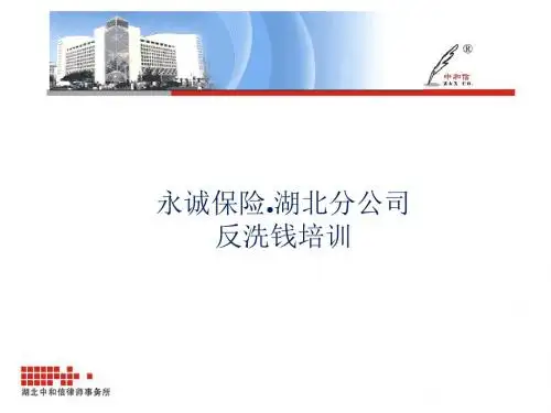 保险公司反洗钱培训讲义